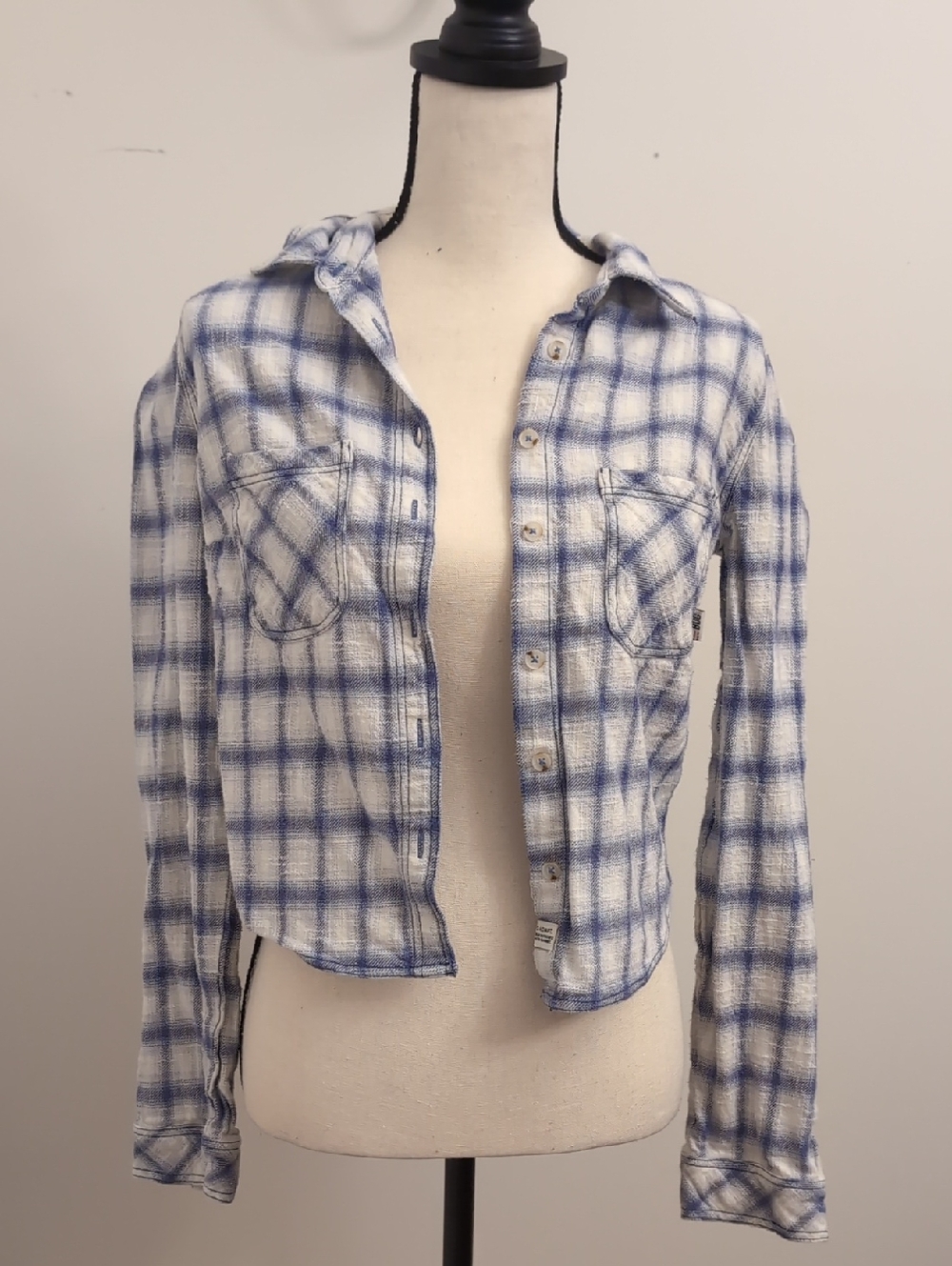 BDG Blue and White Plaid Button-Down Shirt